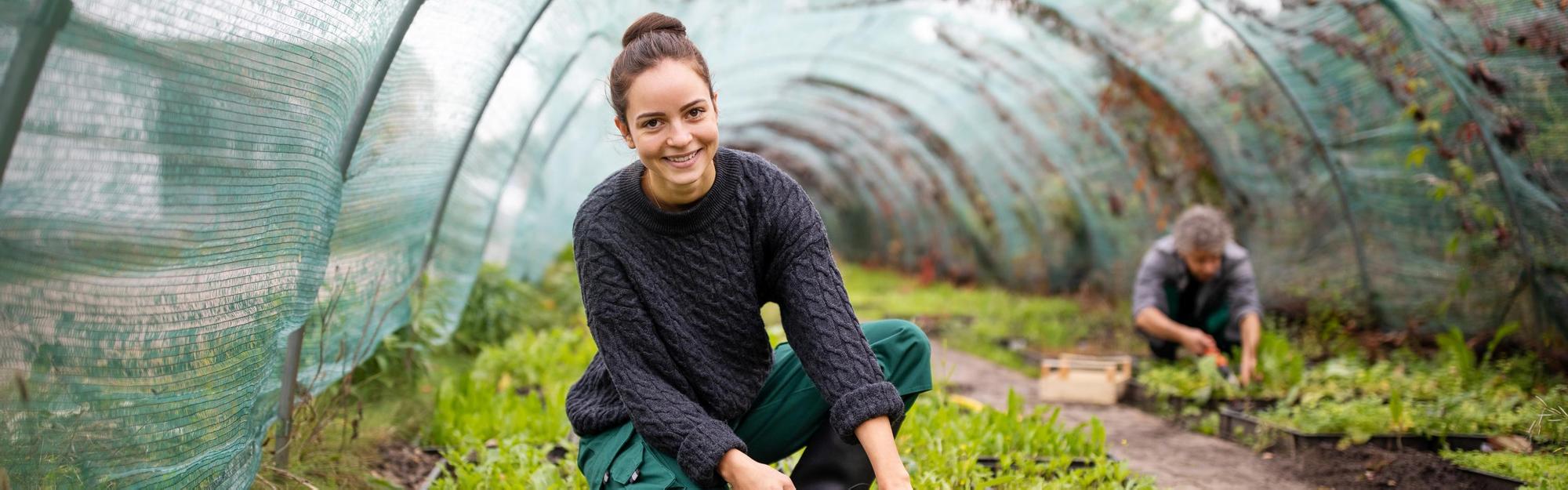 Female worker working on seedlings in greenhouse